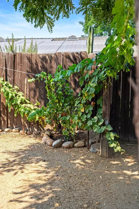 Exterior - 403 D St, Ramona, CA 92065 photo 4 of 4