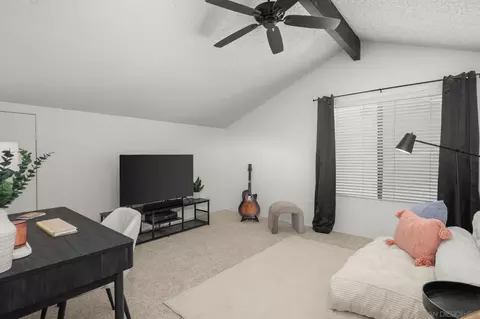 3544 Paseo Salamoner, La Mesa, CA 91941 photo 40