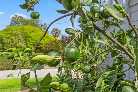 Exterior - 1503 Laurel Rd, Oceanside, CA 92054 photo 8 of 12