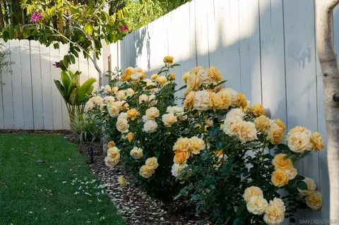 339 Rancho Santa Fe Rd, Encinitas, CA 92024 photo 33