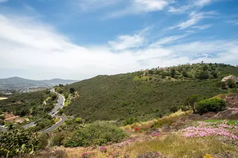 View/Area - 2133 View Crest Gln, Escondido, CA 92026 photo 1 of 4