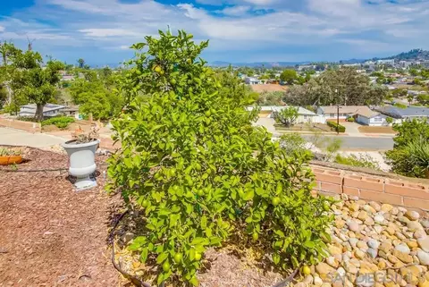 8185 Chaz Pl, La Mesa, CA 91942 photo 34