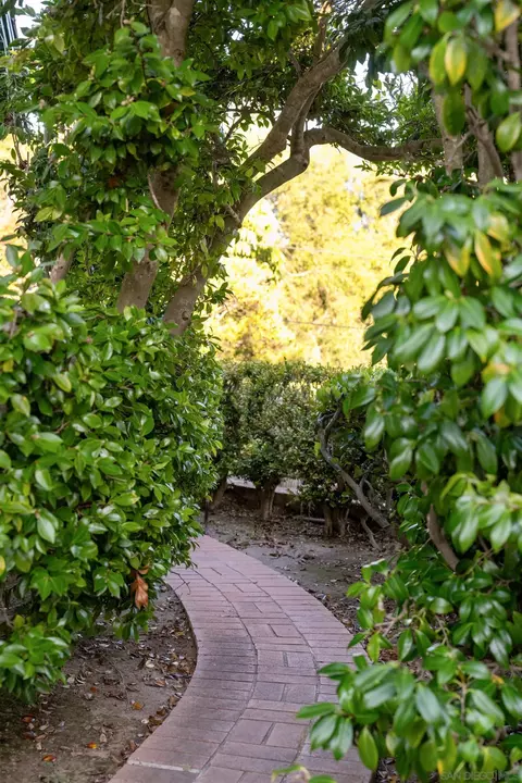 Exterior - 1654 La Jolla Rancho Rd, La Jolla, CA 92037 photo 9 of 12