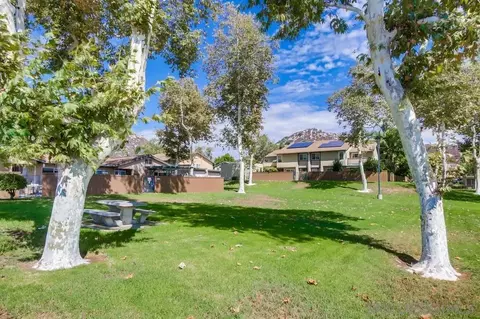 10232 Princess Sarit Way, Santee, CA 92071 photo 37