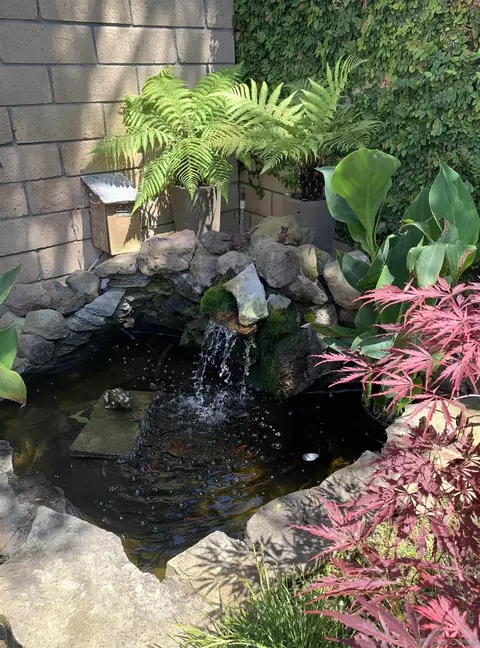 Exterior - 2176 Eastridge Loop, Oxnard, CA 93036 photo 7 of 12
