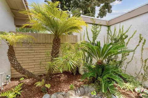 Exterior - 1608 Caminito Asterisco, La Jolla, CA 92037 photo 7 of 7
