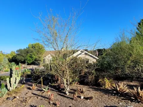 Exterior - 16257 Quail Rock Rd, Ramona, CA 92065 photo 3 of 15