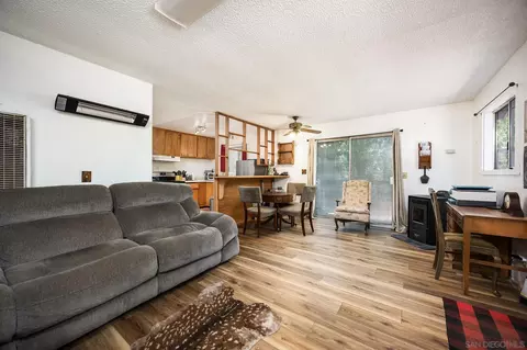 Living - 21824 Crestline Rd, Palomar Mountain, CA 92060 photo 4 of 4