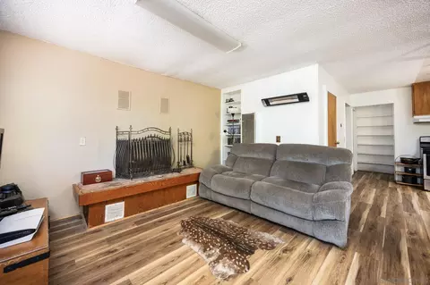 Living - 21824 Crestline Rd, Palomar Mountain, CA 92060 photo 2 of 4