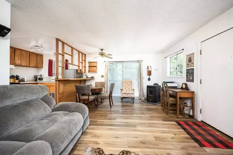 Living - 21824 Crestline Rd, Palomar Mountain, CA 92060 photo 3 of 4