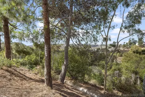 1632 Mountain Pass Cir, Vista, CA 92081 photo 41