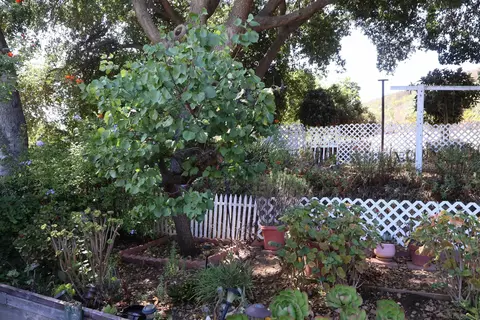Exterior - 4747 Oak Crst #48, Fallbrook, CA 92028 photo 7 of 8