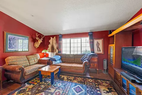 Living - 5294 Pine Hills Rd, Julian, CA 92036 photo 2 of 5