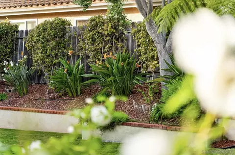 Exterior - 451 Jolina Way, Encinitas, CA 92024 photo 12 of 13