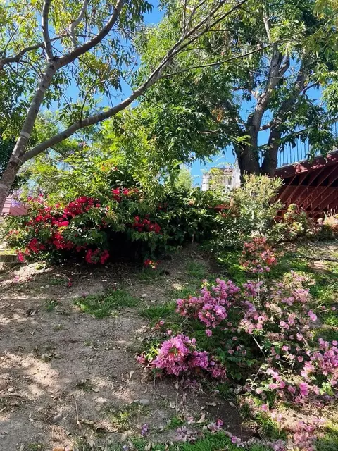 Exterior - 8530 Rockledge Rd, La Mesa, CA 91941 photo 11 of 15