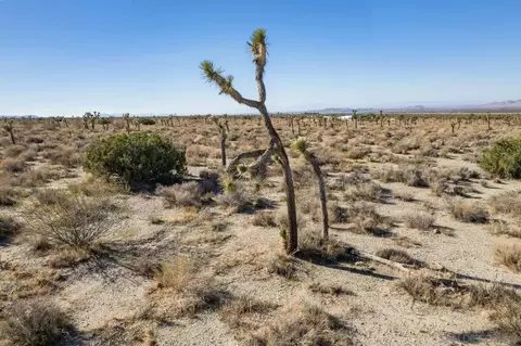 0 238th St E #6, Llano, CA 93544 photo 21