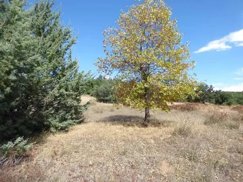 Engineers Road, Julian, CA 92036 photo 7