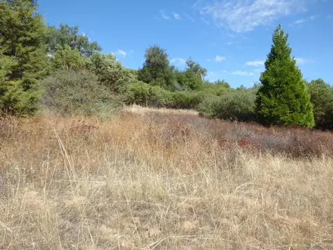 Engineers Road, Julian, CA 92036 photo 21