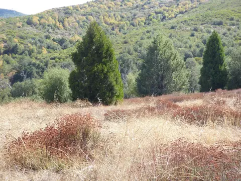 Engineers Road, Julian, CA 92036 photo 18