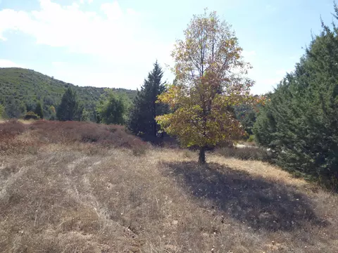Engineers Road, Julian, CA 92036 photo 17