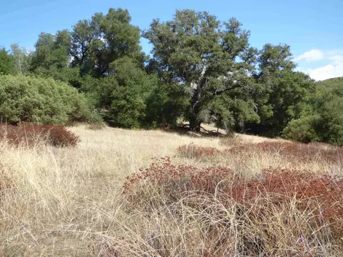 Engineers Road, Julian, CA 92036 photo 5