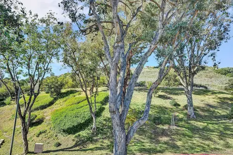 13644 Mulberry Tree Ct, Poway, CA 92064 photo 31