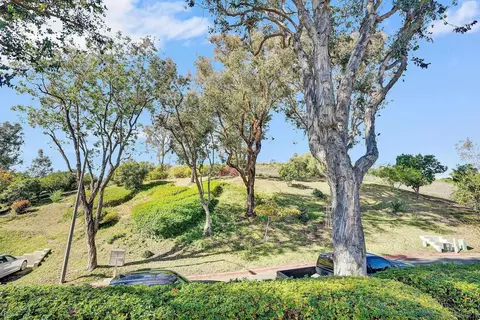 13644 Mulberry Tree Ct, Poway, CA 92064 photo 32