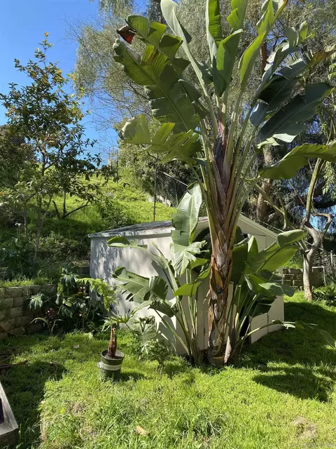 Exterior - 5015 Macario Dr, Oceanside, CA 92057 photo 2 of 5