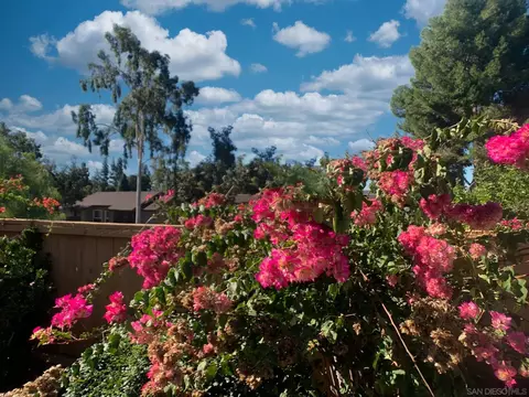 Exterior - 2314 Sawgrass St, El Cajon, CA 92019 photo 11 of 11