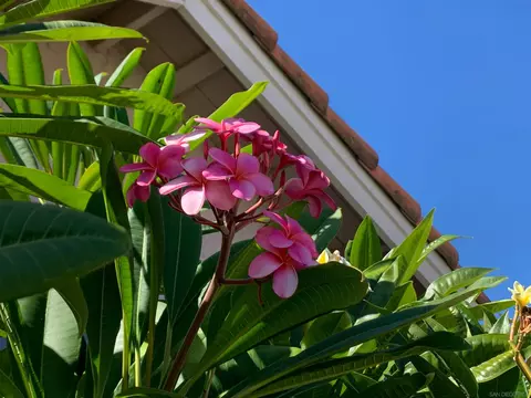 Other - 2314 Sawgrass St, El Cajon, CA 92019 photo 4 of 5