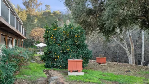 Exterior - 1165 Midway Dr, Alpine, CA 91901 photo 14 of 18