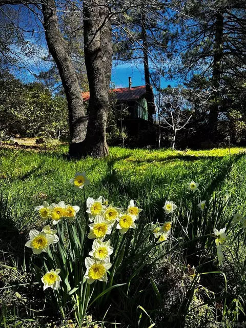 721 Pine Cone Dr, Julian, CA 92036