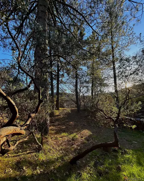 Exterior - 721 Pine Cone Dr, Julian, CA 92036 photo 7 of 12