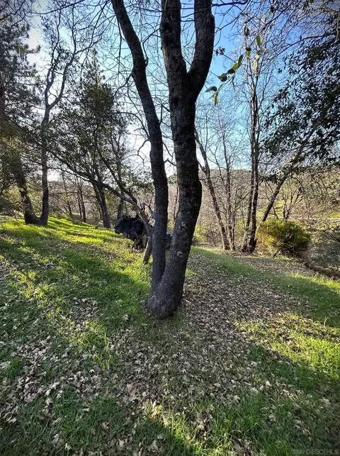 Exterior - 721 Pine Cone Dr, Julian, CA 92036 photo 6 of 12