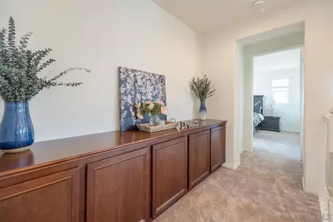Entry Way - 3505 N Fork Ave, Carlsbad, CA 92010 photo 10 of 10