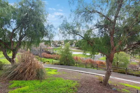Other - 1349 Thunder Spring Dr, Chula Vista, CA 91915 photo 19 of 21