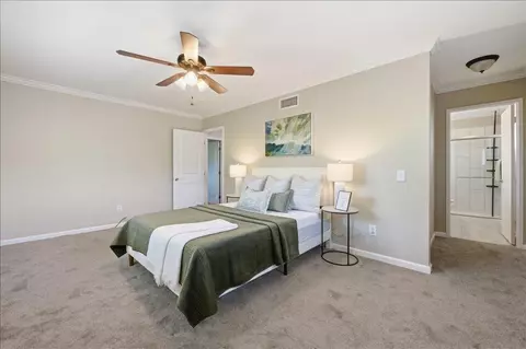 Other - 13619 Sycamore Tree Ln, Poway, CA 92064 photo 4 of 5