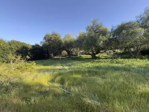 Exterior - 2227 Mapleleaf Ave, Thousand Oaks, CA 91320 photo 11 of 12