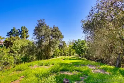 Exterior - 2824 Olive Hill Rd, Fallbrook, CA 92028 photo 5 of 12