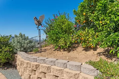 Exterior - 2618 Columbine Rd, Alpine, CA 91901 photo 10 of 13