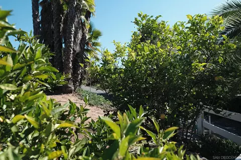 Exterior - 26327 N Broadway, Escondido, CA 92026 photo 14 of 15