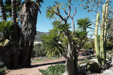 Exterior - 26327 N Broadway, Escondido, CA 92026 photo 13 of 15