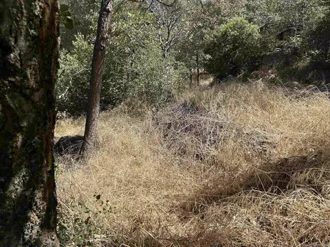 0 Whispering Pines Dr #186, Julian, CA 92036