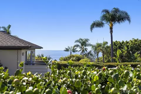 View/Area - 445 Avenida Primavera, Del Mar, CA 92014 photo 1 of 4