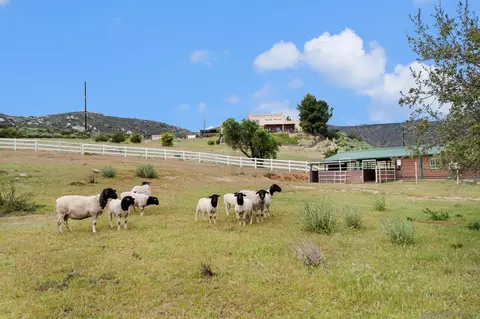 Other - 17287 Oak Hollow Rd, Ramona, CA 92065 photo 16 of 25