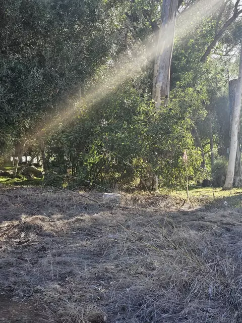 0 Echo Dr #46, La Mesa, CA 91941 photo 40
