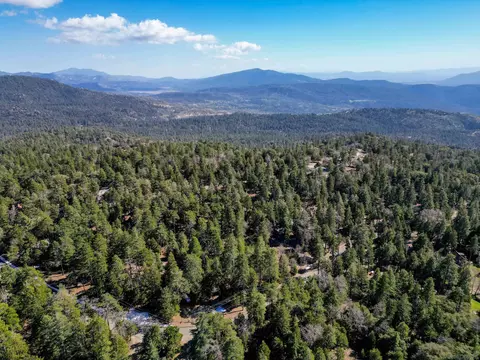 000 Laurel Trl #LOT PINE, Cove Idyllwild, CA 92549 photo 12