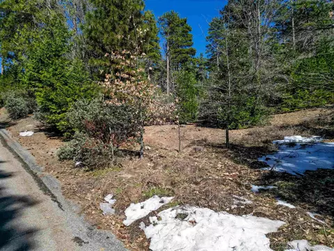 000 Laurel Trl #LOT PINE, Cove Idyllwild, CA 92549 photo 8