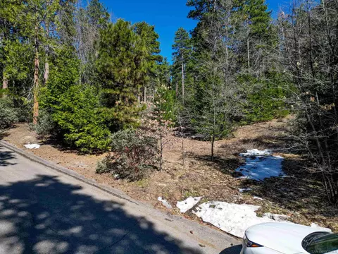 000 Laurel Trl #LOT PINE, Cove Idyllwild, CA 92549 photo 7