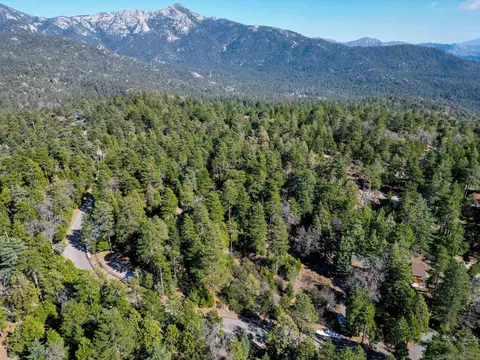 000 Laurel Trl #LOT PINE, Cove Idyllwild, CA 92549 photo 11